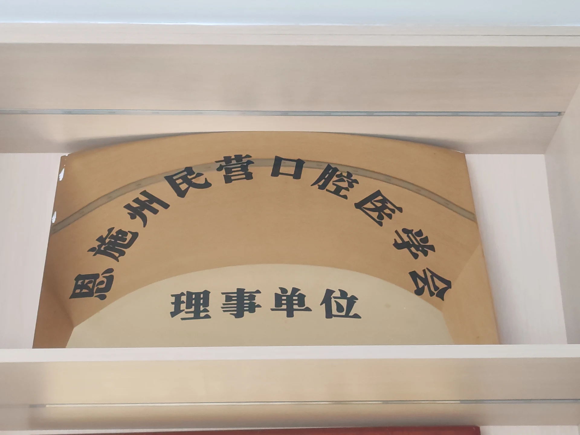 恩施州民营口腔医学会理事单位牌匾